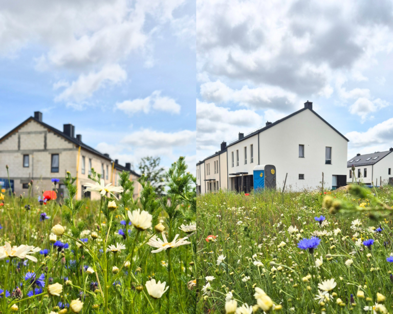 domy od dewelopera trójmiasto